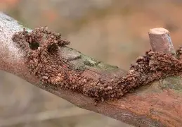 蛾?捜呑M?C箒お?Po@哱鎗C-9体育